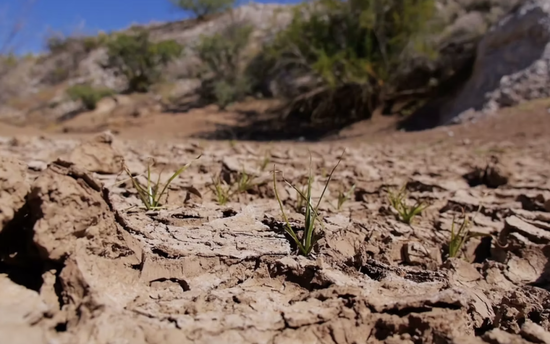 How Being Grounded is a Holistic Affair