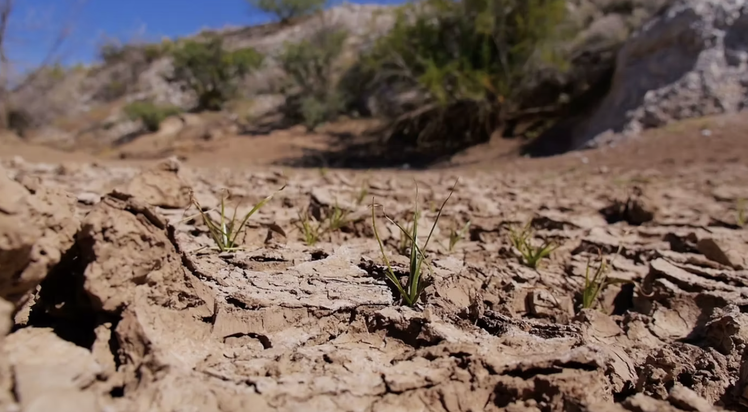 How Being Grounded is a Holistic Affair