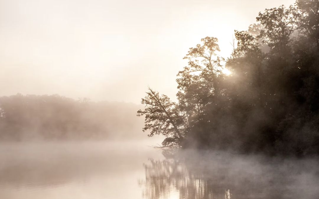 What You Can Learn from Listening to Silence