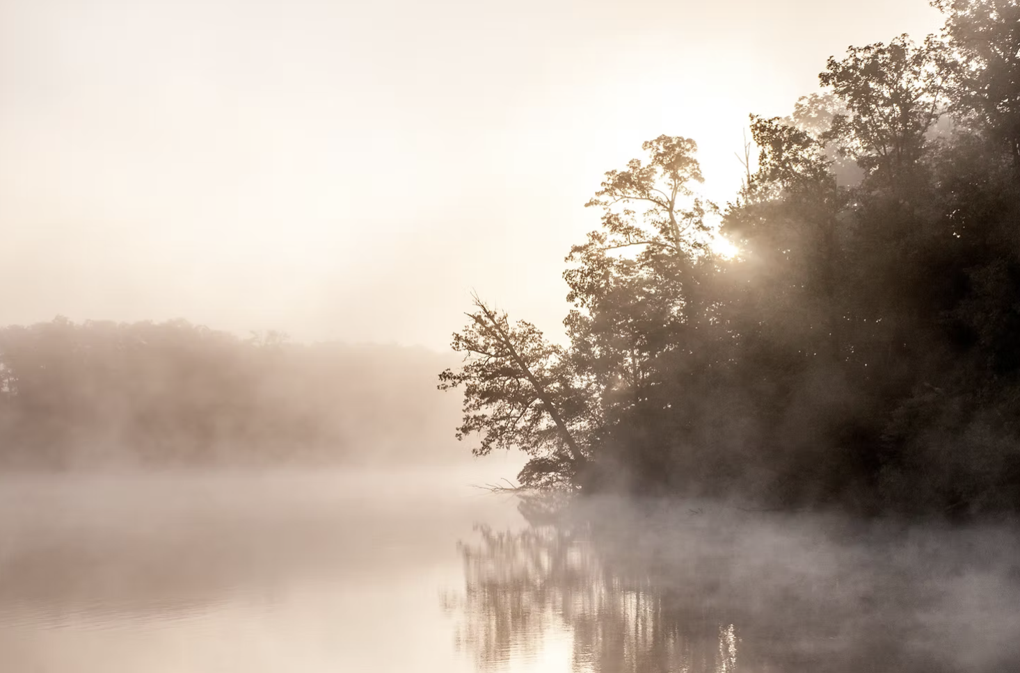 What You Can Learn from Listening to Silence